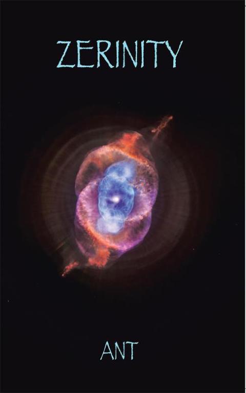 Cover image for book Zerinity