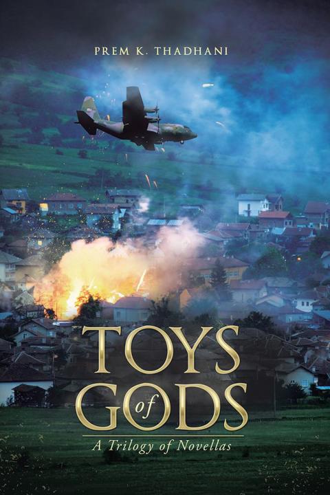 Cover image for book Toys of Gods