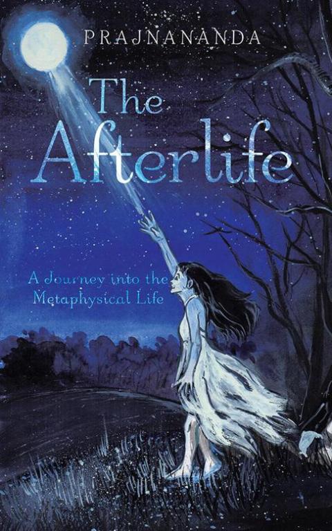 Cover image for book The Afterlife