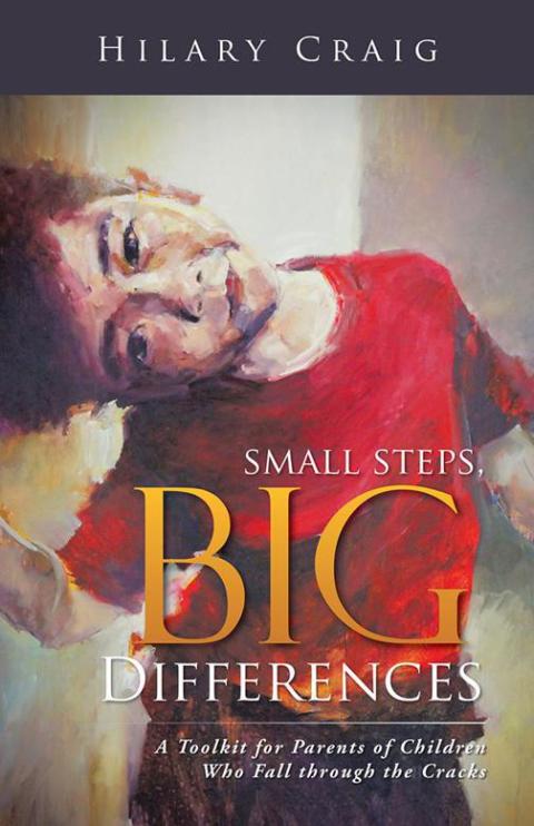 Cover image for book Small Steps, Big Differences
