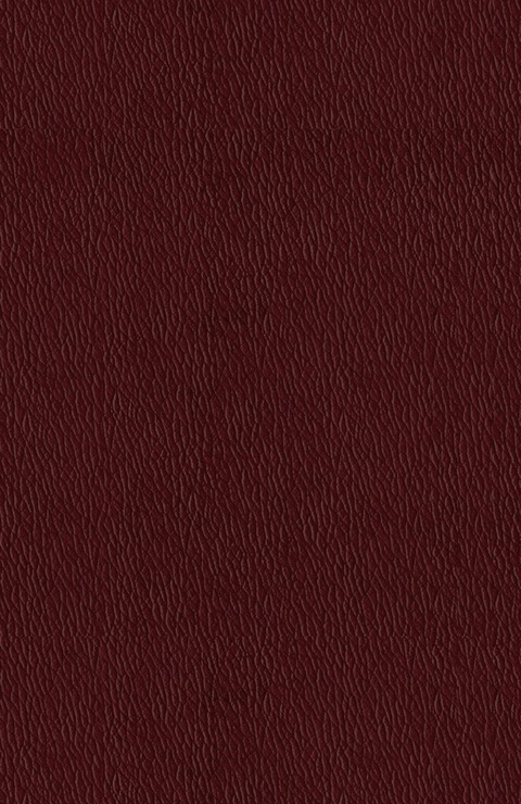 Cover image for book Technology and Uses of Liquid Hydrogen
