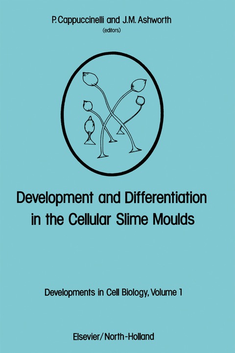 Cover image for book Development and Differentiation in the Cellular Slime Moulds