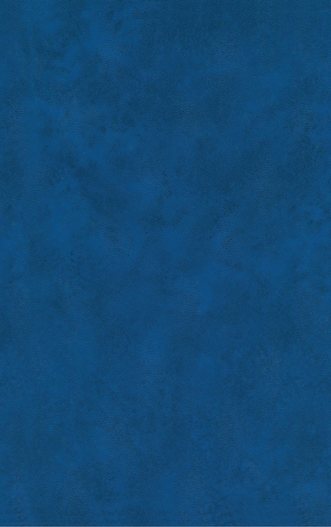 Cover image for book Drugs and the Eye