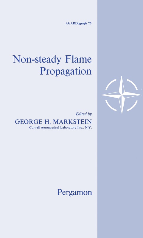 Cover image for book Nonsteady Flame Propagation