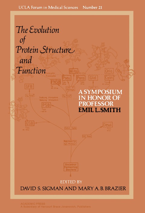 Cover image for book The Evolution of Protein Structure and Function