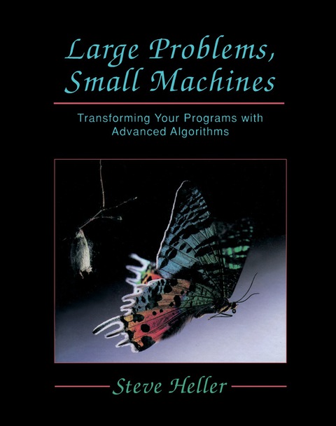 Cover image for book Large Problems, Small Machines