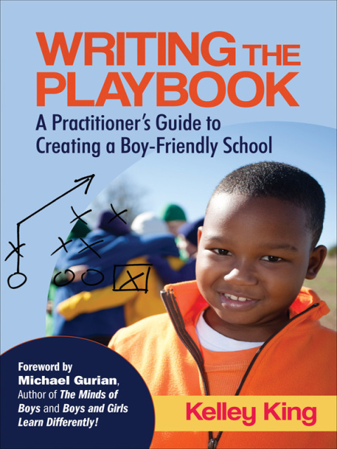 Cover image for book Writing the Playbook