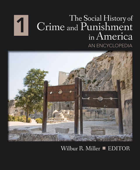 Cover image for book The Social History of Crime and Punishment in America