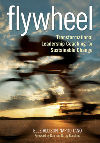 Cover image: Flywheel 1st edition 9781452260914
