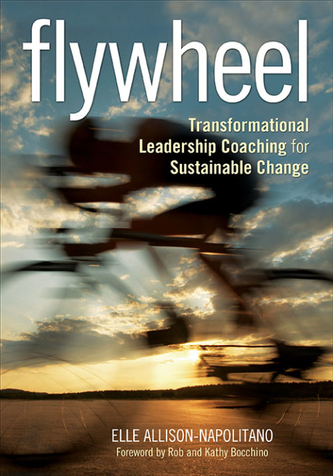 Cover image for book Flywheel
