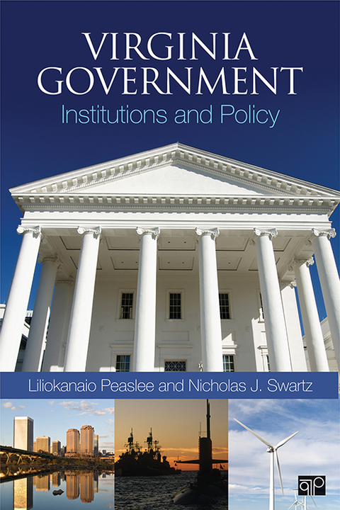 Cover image for book Virginia Government