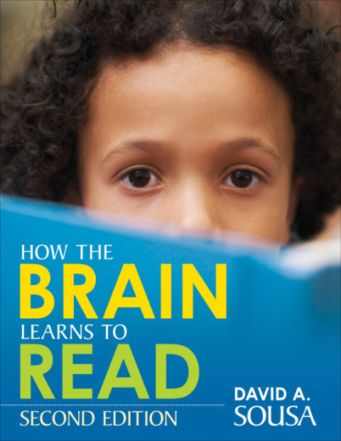 Cover image for book How the Brain Learns to Read