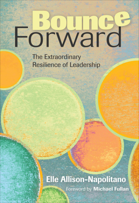 Cover image for book Bounce Forward