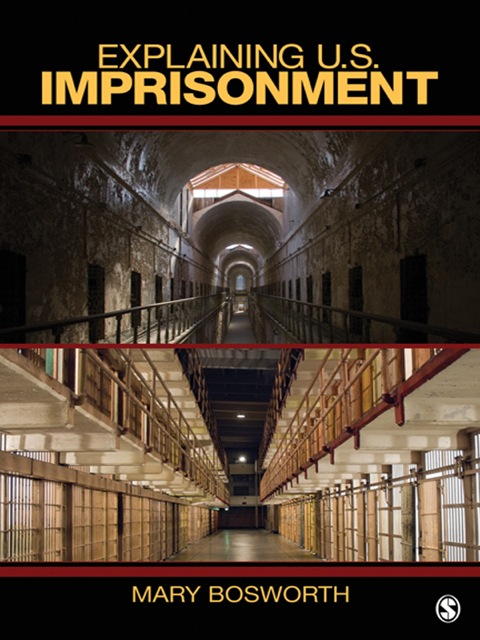 Cover image for book Explaining U.S. Imprisonment