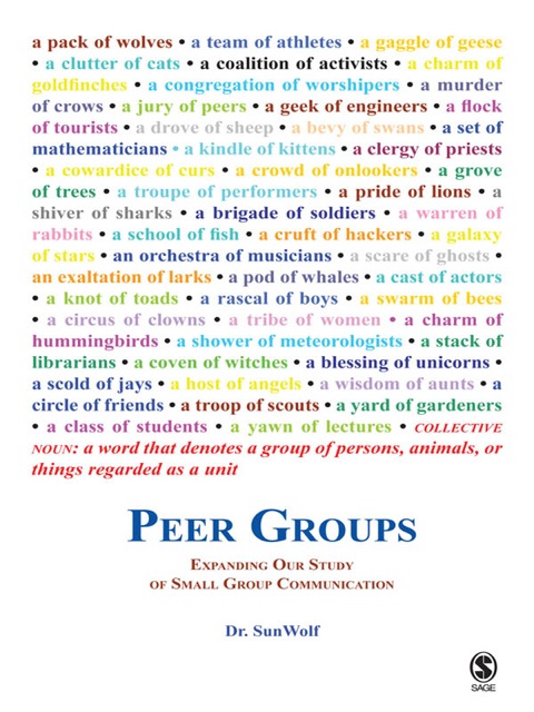 Cover image for book Peer Groups