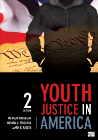 Omslagafbeelding: Youth Justice in America 2nd edition 9781483319162