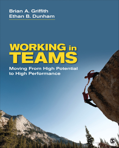 Cover image for book Working in Teams