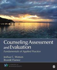 Titelbild: Counseling Assessment and Evaluation 1st edition 9781452226248