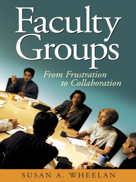 Cover image for book Faculty Groups