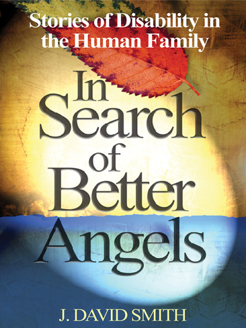 Cover image for book In Search of Better Angels