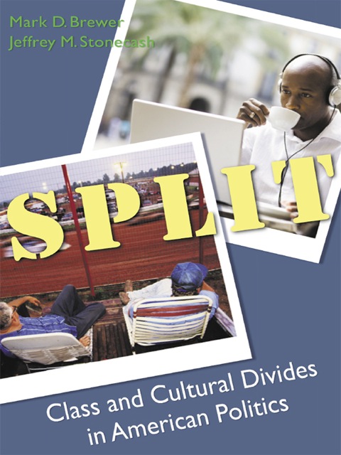 Cover image for book Split
