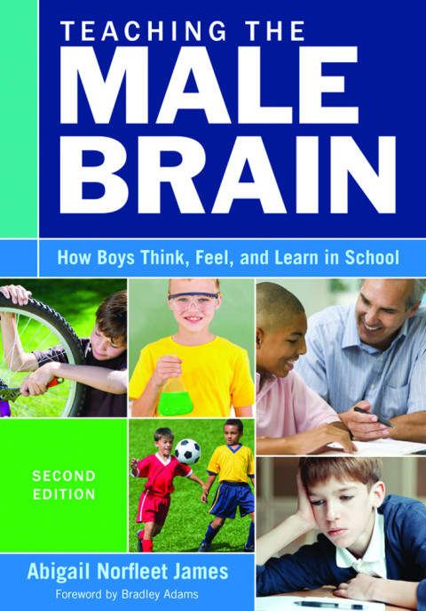 Cover image for book Teaching the Male Brain