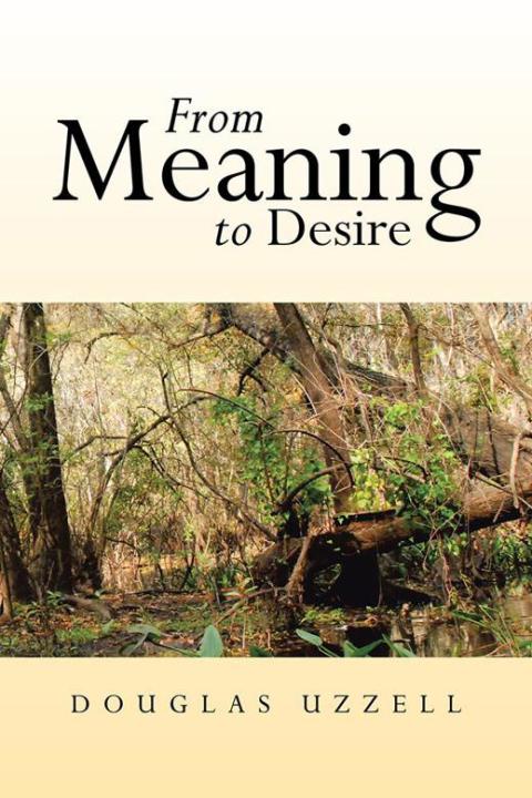 Cover image for book From Meaning to Desire