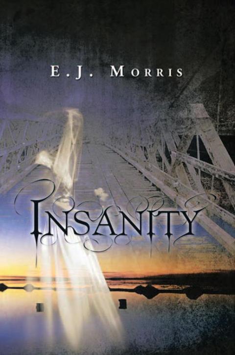 Cover image for book Insanity