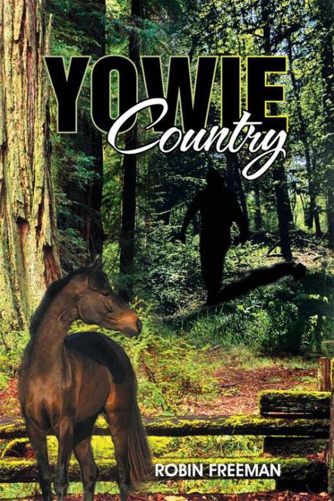 Cover image for book Yowie Country
