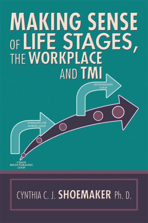 Cover image for book Making Sense of Life Stages, the Workplace and Tmi