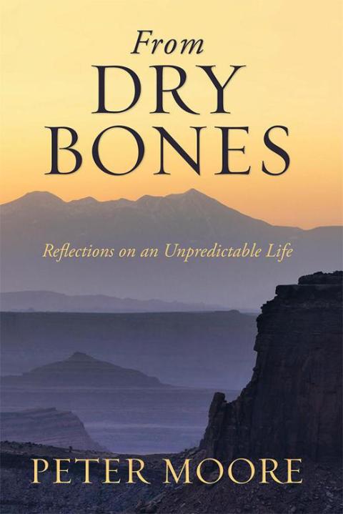 Cover image for book From Dry Bones