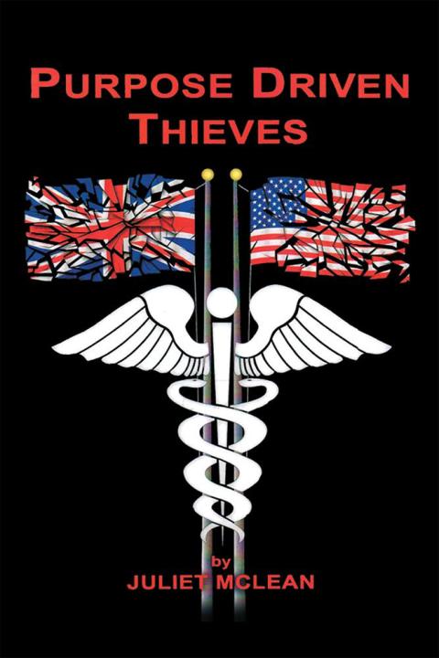 Cover image for book Purpose Driven Thieves