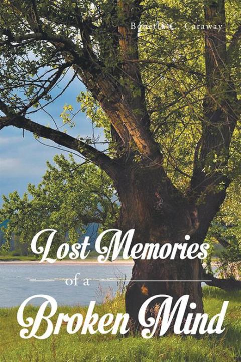 Cover image for book Lost Memories of a Broken Mind