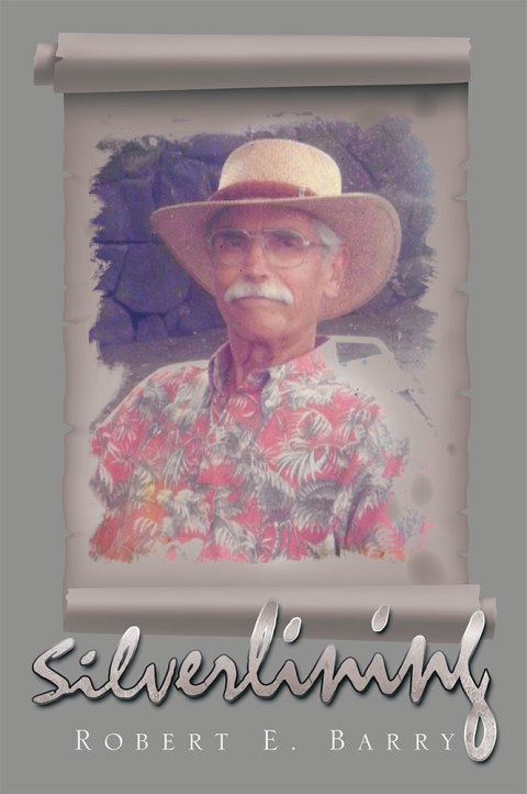 Cover image for book Silverlining