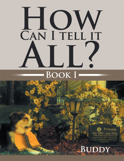 Cover image for book How Can I Tell It All?