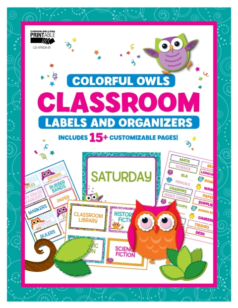 Cover image for book Colorful Owls Classroom Labels and Organizers