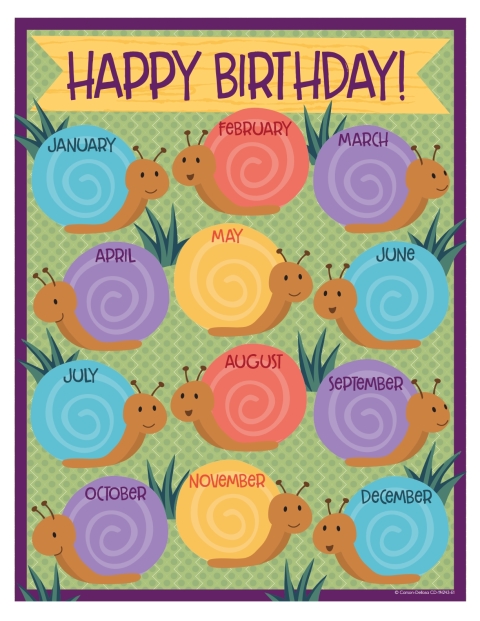 Cover image for book Nature Explorers Birthday