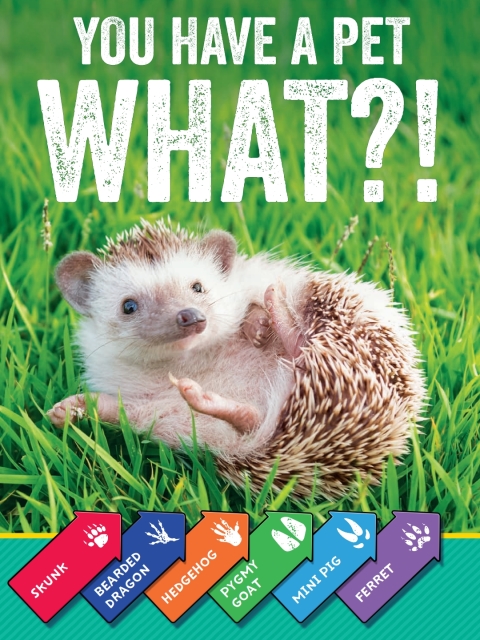 Cover image for book You Have a Pet What?!