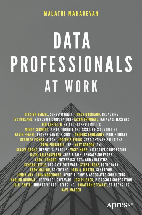 Cover image for book Data Professionals at Work