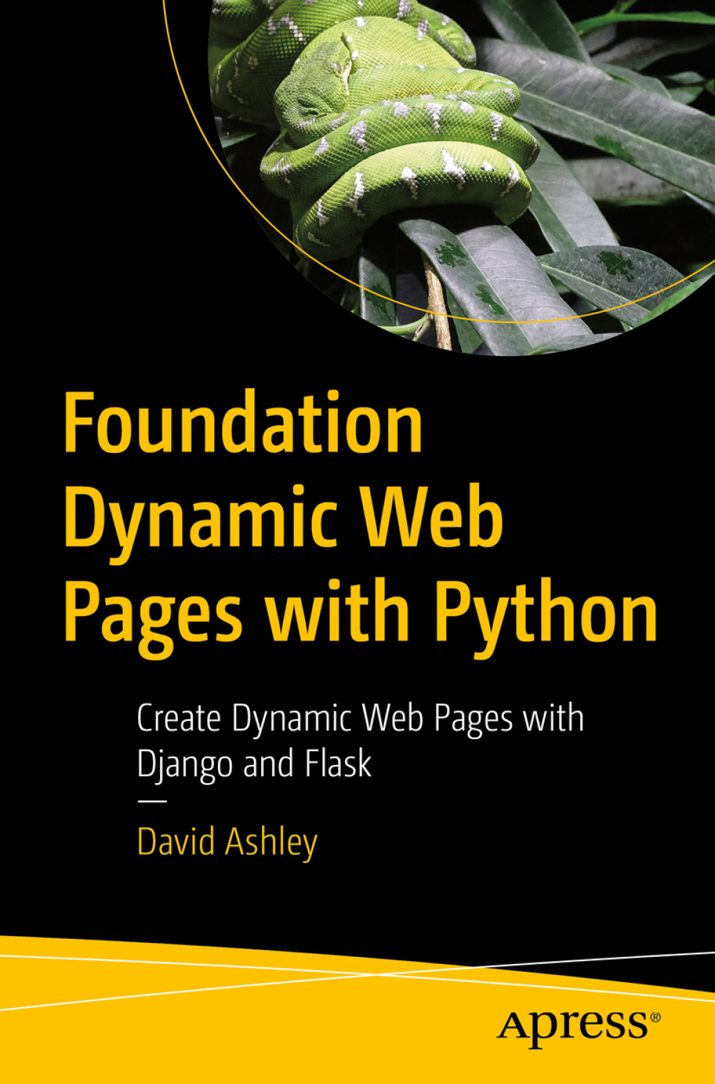 Foundation Dynamic Web Pages with Python (eBook)