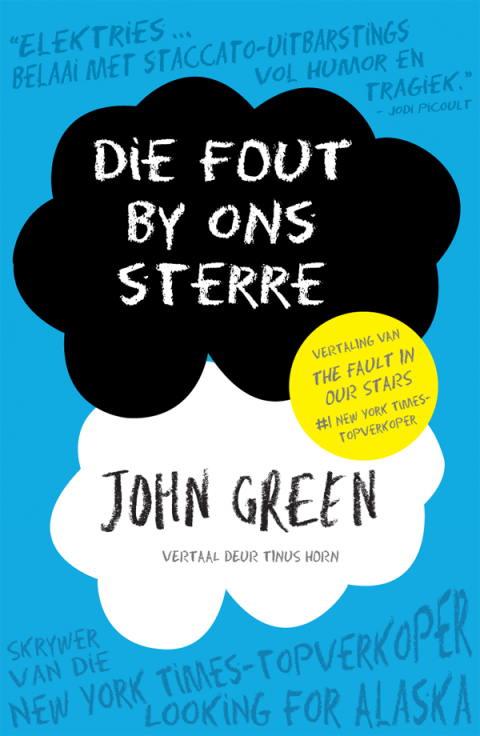 Cover image for book Die fout by ons sterre