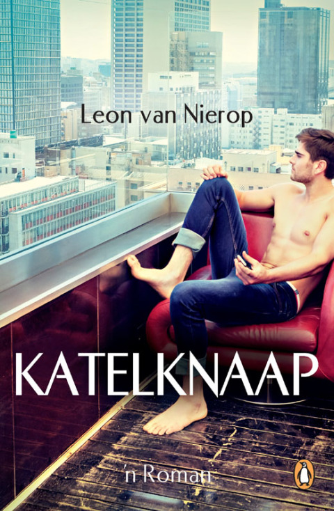 Cover image for book Katelknaap