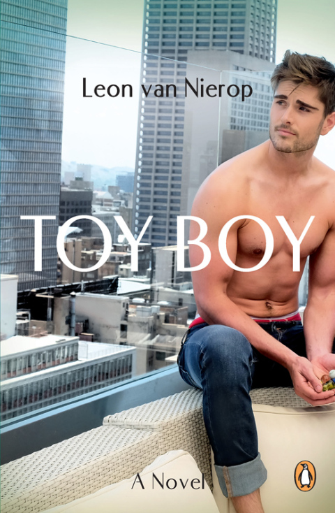 Cover image for book Toy Boy