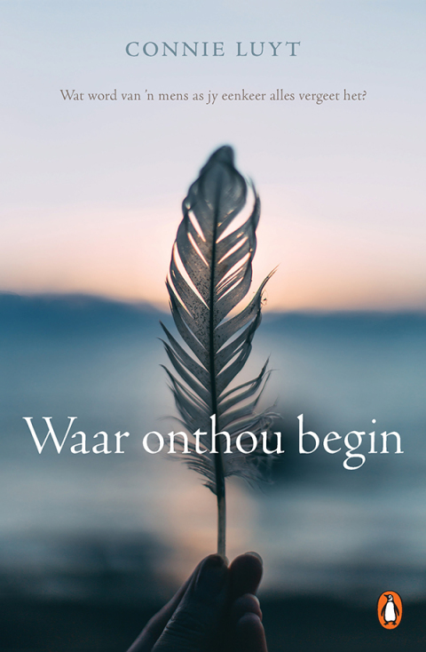 Cover image for book Waar onthou begin