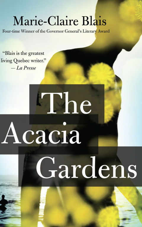 Cover image for book The Acacia Gardens