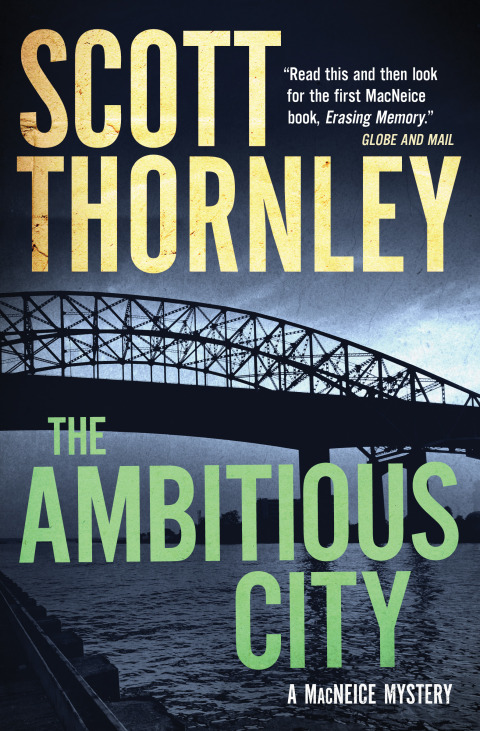 Cover image for book The Ambitious City