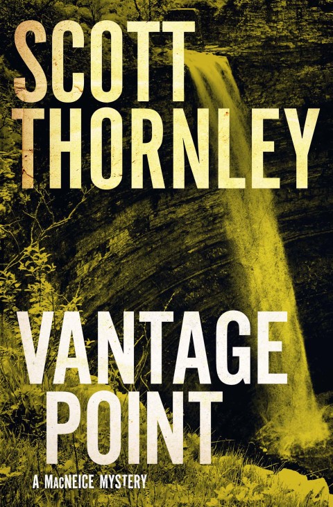Cover image for book Vantage Point