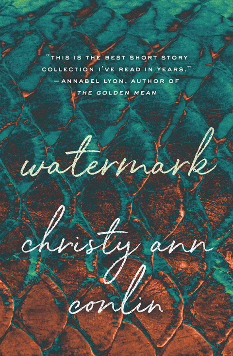 Cover image for book Watermark