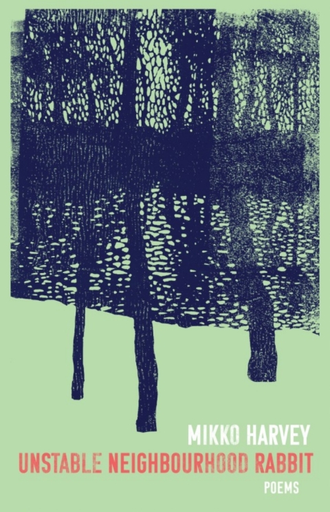 Cover image for book Unstable Neighbourhood Rabbit