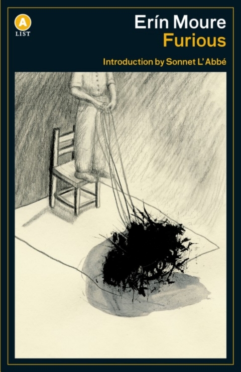 Cover image for book Furious
